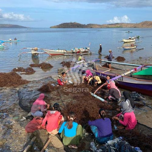 farmer new 2 farmer new 2