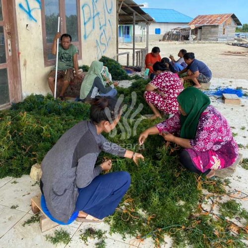 farmer new 3 farmer new 3