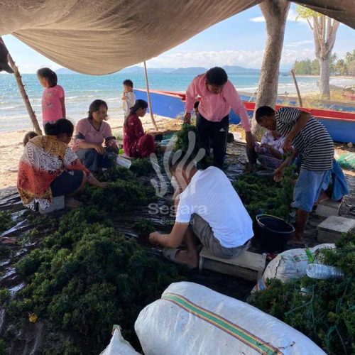 farmer new 4 farmer new 4