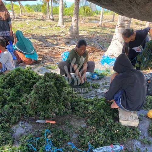 farmer new 5 farmer new 5