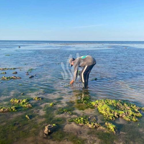 farmer new 6 farmer new 6