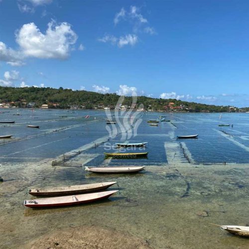 farmsite new 10 farmsite new 10