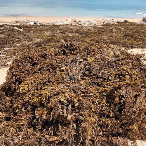 farmsite new 11 farmsite new 11