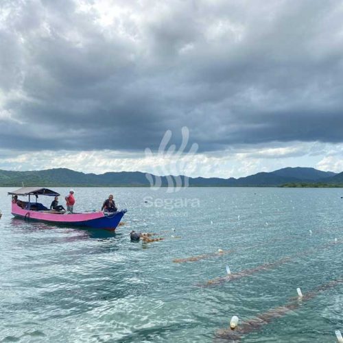 farmsite new 4 farmsite new 4