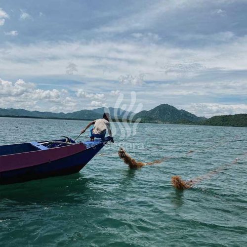 farmsite new 6 farmsite new 6