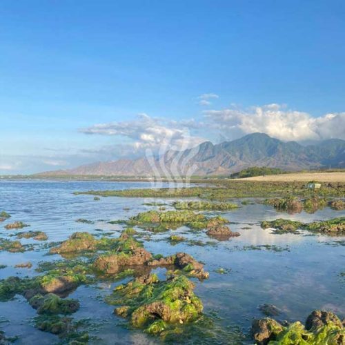 farmsite new 7 farmsite new 7