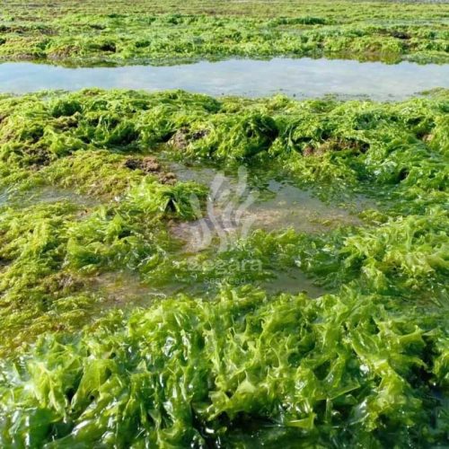 farmsite new 9 farmsite new 9