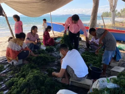 produk-cottonii-9-69d332e0e00fb produk-cottonii-9-69d332e0e00fb