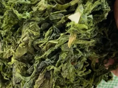 produk-ulva-11-69d33828c24a4 produk-ulva-11-69d33828c24a4