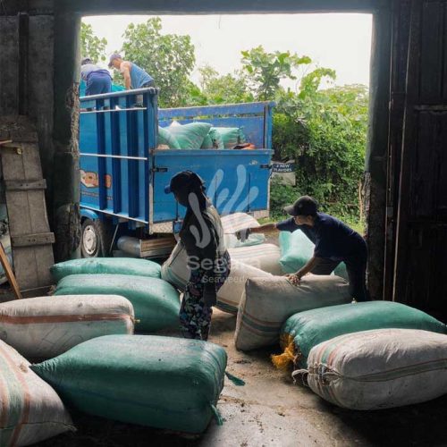 warehouse new 1 warehouse new 1