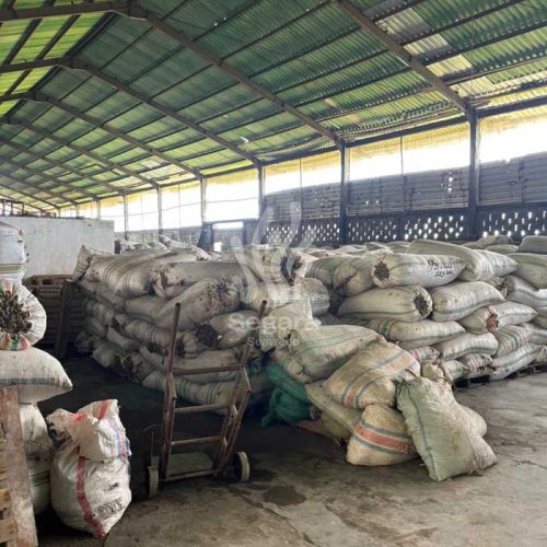 warehouse new 5 warehouse new 5