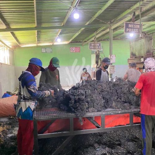 warehouse new 7 warehouse new 7